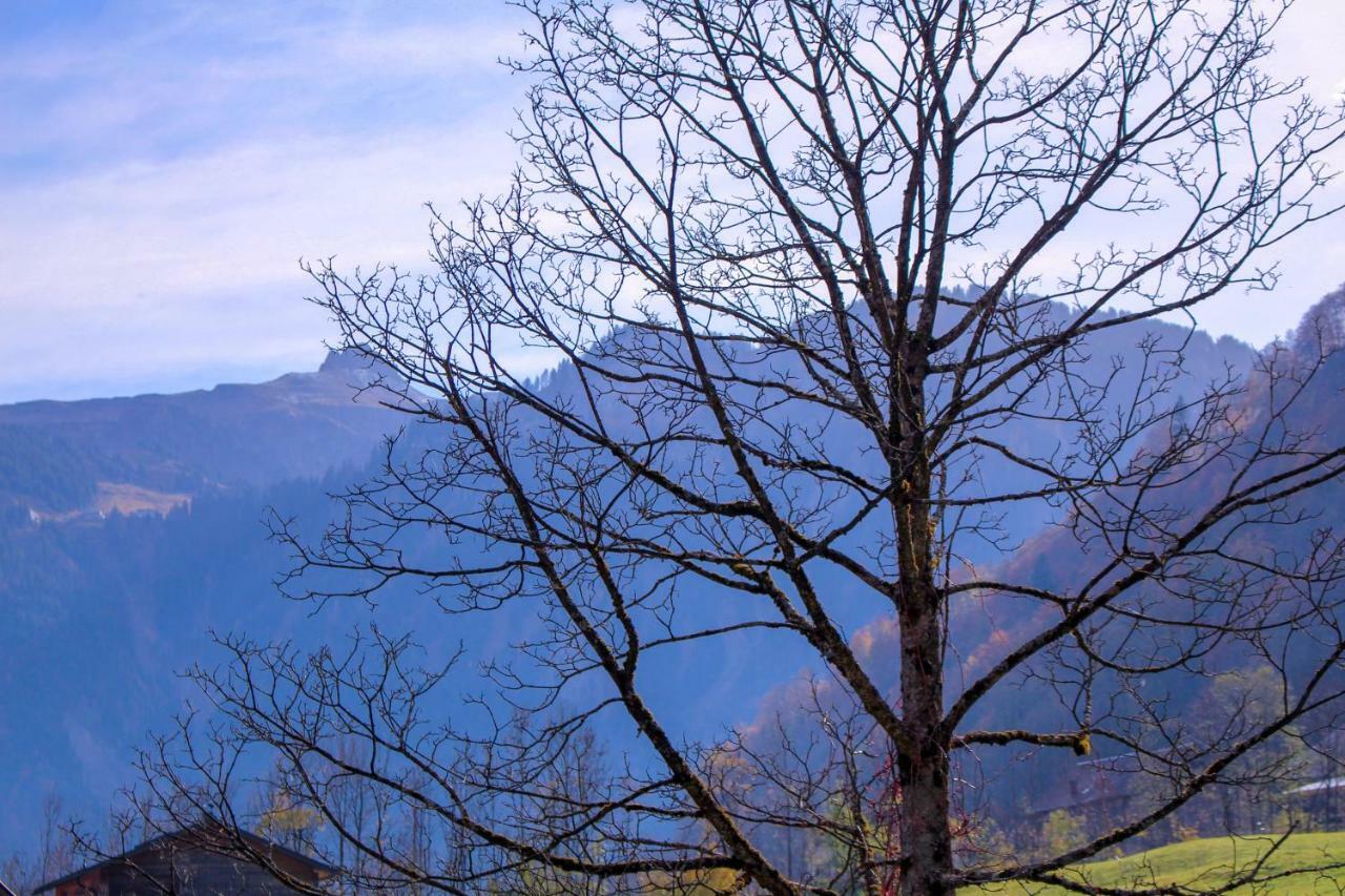 Haus Am Wasserfall Mellau Εξωτερικό φωτογραφία